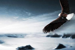 日積月累