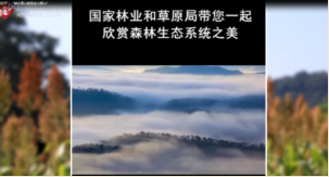 習(xí)近平：“<em>綠水青山</em><em>就是</em><em>金山</em><em>銀山</em>”