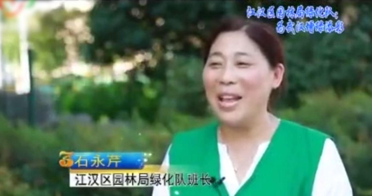 <em>漢江</em>區(qū)園林局綠化隊(duì)：為武漢增綠添彩