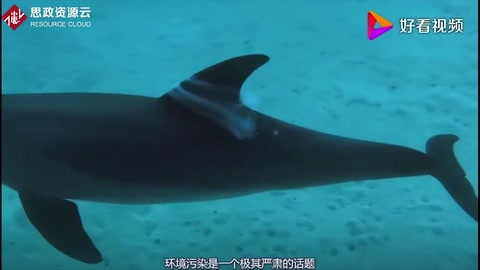 環(huán)境污染的危害