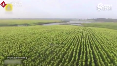 外媒看農(nóng)業(yè)自動化：<em>中國</em>農(nóng)民這是要上天啊