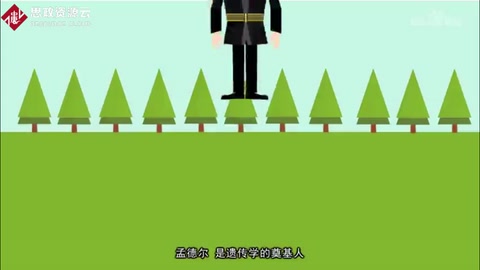 孟德爾：遺傳學的奠基人，被譽為現(xiàn)代遺傳學之父