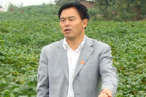 楊文鈺<em>教授</em>——率領團隊研發的玉米、大豆間作新農藝被寫進了2020<em>年</em>中央1號文件