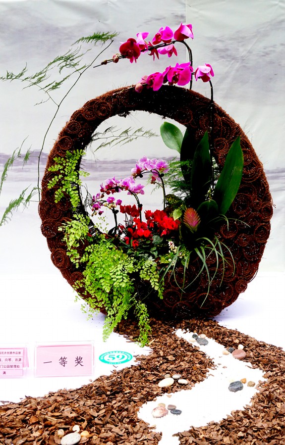 2016年重慶市主城區(qū)組合盆栽花卉創(chuàng)意作品展一等獎“圓滿”