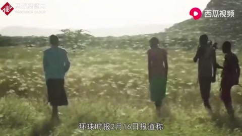3600億只蝗蟲肆虐！