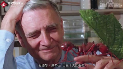 一分鐘了解愛(ài)德華·威爾遜