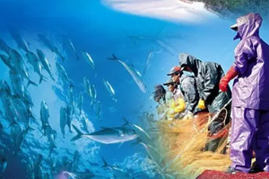 <em>海洋</em>科學<em>專業</em>：《<em>海洋</em>科學導論》<em>課程</em><em>思</em><em>政</em>案例