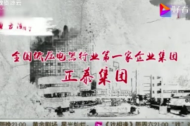 正泰集團(tuán)