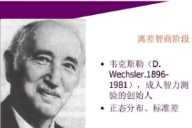什么是<em>韋</em>氏智力測驗(yàn)