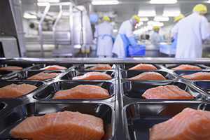<em>課程標準</em>：<em>食品</em><em>檢驗</em><em>檢測</em><em>技術</em><em>專業</em>《<em>食品</em>安全快速<em>檢測</em><em>技術</em>》<em>課程標準</em>