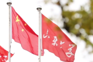<em>微</em><em>課</em>：<em>漢語(yǔ)言</em><em>文學(xué)</em><em>專業(yè)</em>《現(xiàn)代漢語(yǔ)》