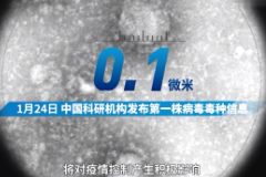 授課<em>視頻</em>：刻度上的中國<em>戰</em><em>疫</em>