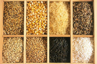 <em>食品質量</em><em>與</em><em>安全</em>專業：《食品工廠設計—緒論》<em>課程</em><em>思</em><em>政</em><em>案例</em>