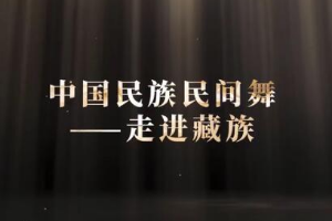 <em>微</em><em>課</em>：<em>早期教育</em>、<em>學(xué)前教育</em><em>專業(yè)</em>《<em>舞蹈</em><em>基礎(chǔ)</em>—<em>走進(jìn)</em>藏族<em>民間舞</em><em>之</em>顫膝》