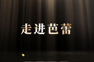 <em>微</em><em>課</em>：<em>早期教育</em>、<em>學(xué)前教育</em><em>專業(yè)</em>《<em>舞蹈</em><em>基礎(chǔ)</em>—<em>走進(jìn)</em>芭蕾舞》
