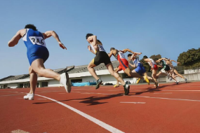 運動訓練—<em>田徑</em>（<em>圖</em><em>2</em>）
