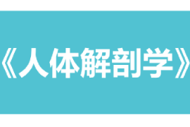 <em>課件</em>：康復治療學、<em>護理</em>學、<em>助產</em>學<em>專業</em>《人體解剖學》