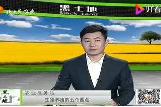 想要豬長膘快，<em>生豬</em>育肥<em>的</em><em>這</em>五個技術(shù)<em>要點(diǎn)</em>要記牢了