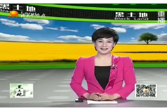 <em>母豬</em><em>妊娠</em>期的<em>飼養</em>和管理方法