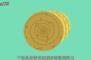干草：青<em>飼料</em>的<em>加工</em>產品