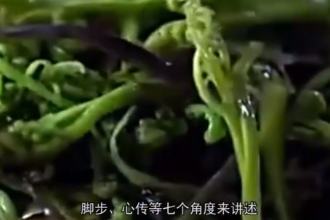 一分鐘了解舌尖上的中國第二季