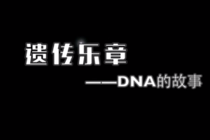 遺傳樂章—DNA<em>的</em>故事
