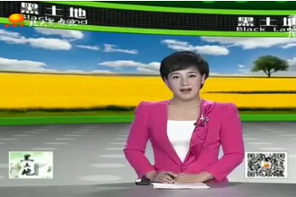 養豬寶典：空懷母豬<em>的</em><em>飼養</em>管理<em>要點</em>