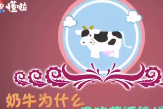 奶牛為什么只吃草還能增肌呢？