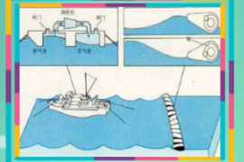 一分鐘了解波浪<em>能</em>