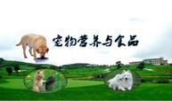 寵物養護與馴導專業：《寵物營養與食品》課程思政案例