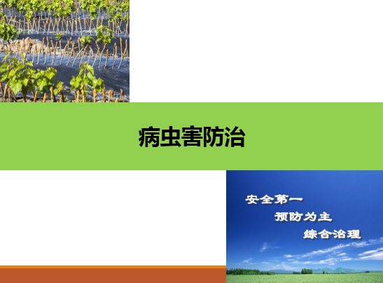 <em>園藝</em><em>技術</em><em>專業</em>：《果樹生產創新模塊—病蟲害防治》<em>課程</em><em>思</em><em>政</em><em>案例</em>