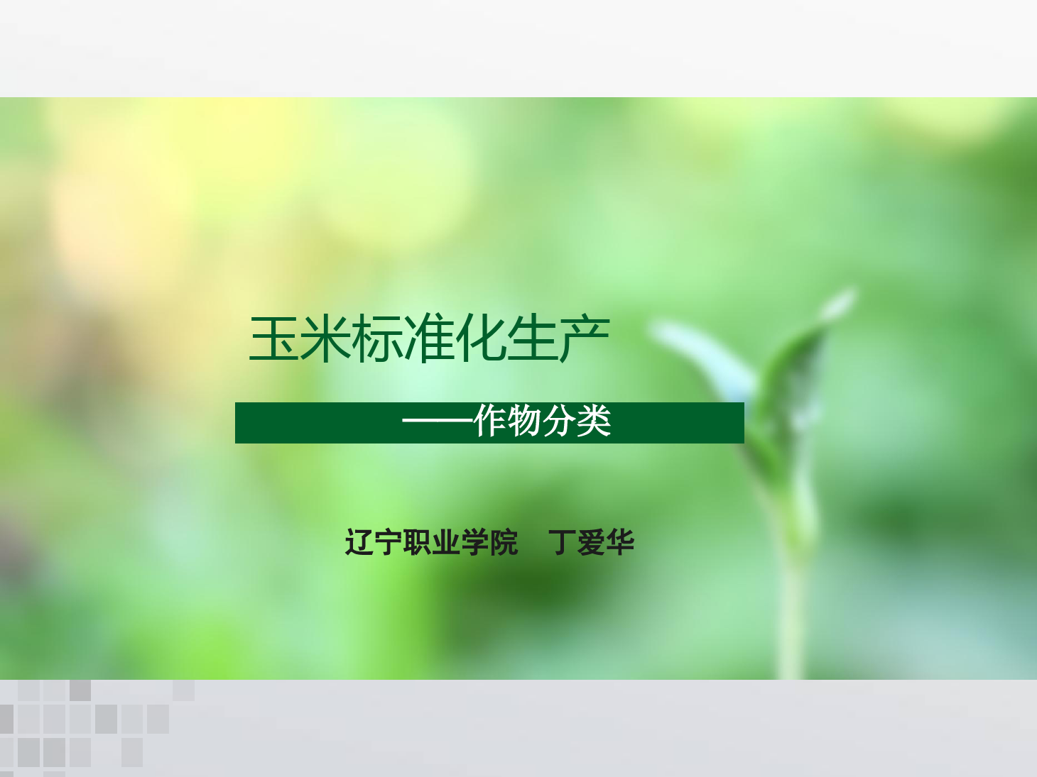 課件：作物生產(chǎn)與經(jīng)營管理專業(yè)《玉米標(biāo)準(zhǔn)化生產(chǎn)—作物分類》