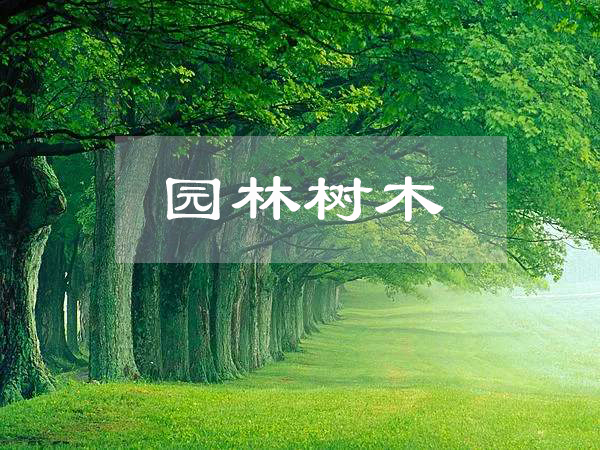 <em>園林</em><em>工程技術</em>、<em>園林</em>技術<em>專業</em>：《<em>園林</em><em>樹木</em>》<em>課程</em><em>思</em><em>政</em><em>課堂教學</em><em>設計</em>