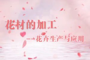 <em>微</em><em>課</em>：園林<em>技術(shù)</em><em>專(zhuān)業(yè)</em>《插花<em>與</em>盆景—花<em>材</em><em>的</em>加工》