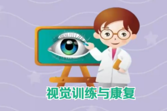 視覺訓(xùn)練與康復(fù)：<em>中國(guó)</em><em>普通</em><em>高等學(xué)校</em><em>專科專業(yè)</em>