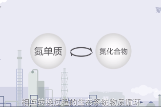 氮循環(huán)—生態(tài)系統(tǒng)物質(zhì)循環(huán)