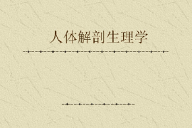 <em>課件</em>：<em>藥學(xué)</em><em>專業(yè)</em>《人體解剖生理學(xué)》