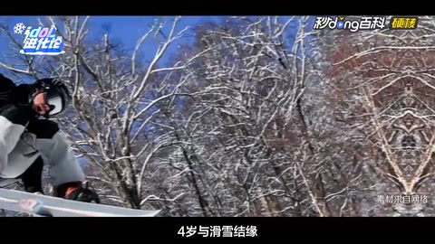 蘇翊鳴—中國單板滑雪運(yùn)動(dòng)員