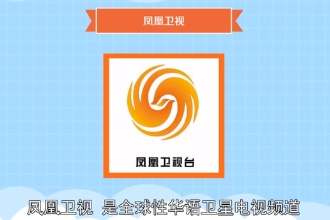 鳳凰衛(wèi)視—全球性<em>華語</em>衛(wèi)星電視頻道