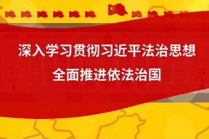 微動(dòng)漫  “十一個(gè)堅(jiān)持”<em>推進(jìn)</em><em>全面</em><em>依法治</em>國(guó)
