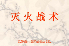 課件：<em>消防</em>指揮專業(yè)《<em>滅火</em>戰(zhàn)術(shù)—概念》