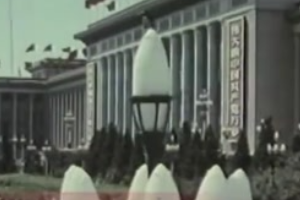 1982年：中央顧問委員會<em>設(shè)立</em>