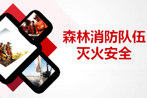 <em>課件</em>：林業(yè)<em>技術(shù)</em><em>專業(yè)</em>《森林<em>防火</em>—森林消防隊(duì)伍》