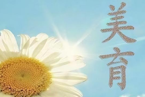 <em>課程標(biāo)準(zhǔn)</em>：<em>通</em><em>識(shí)</em><em>課</em>《大學(xué)<em>美育</em>》<em>課程標(biāo)準(zhǔn)</em>