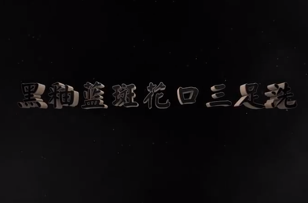 <em>中華</em><em>傳統(tǒng)文化</em>—黑<em>釉</em>藍斑花口三足洗