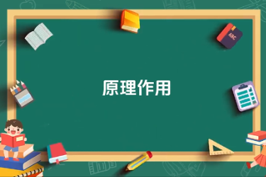 蘋果園套種間作黃豆技術(shù)-原理作用