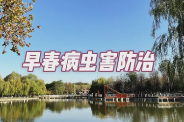 園林植物<em>早春</em>病蟲(chóng)害防治